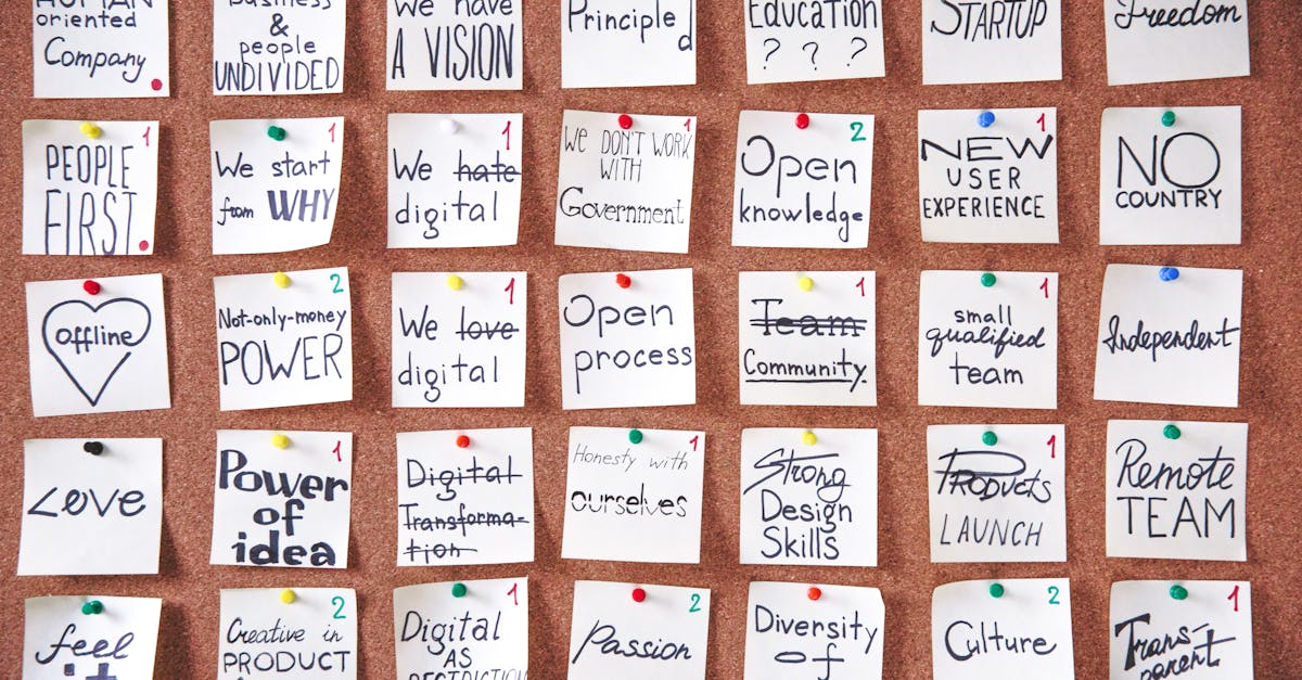 技术支持对玩家心理的影响研究。