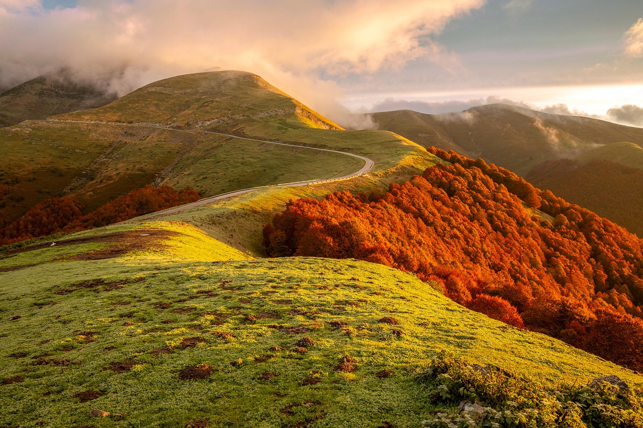 DDOS攻击平台|淘宝怎么用昵称注册新账号