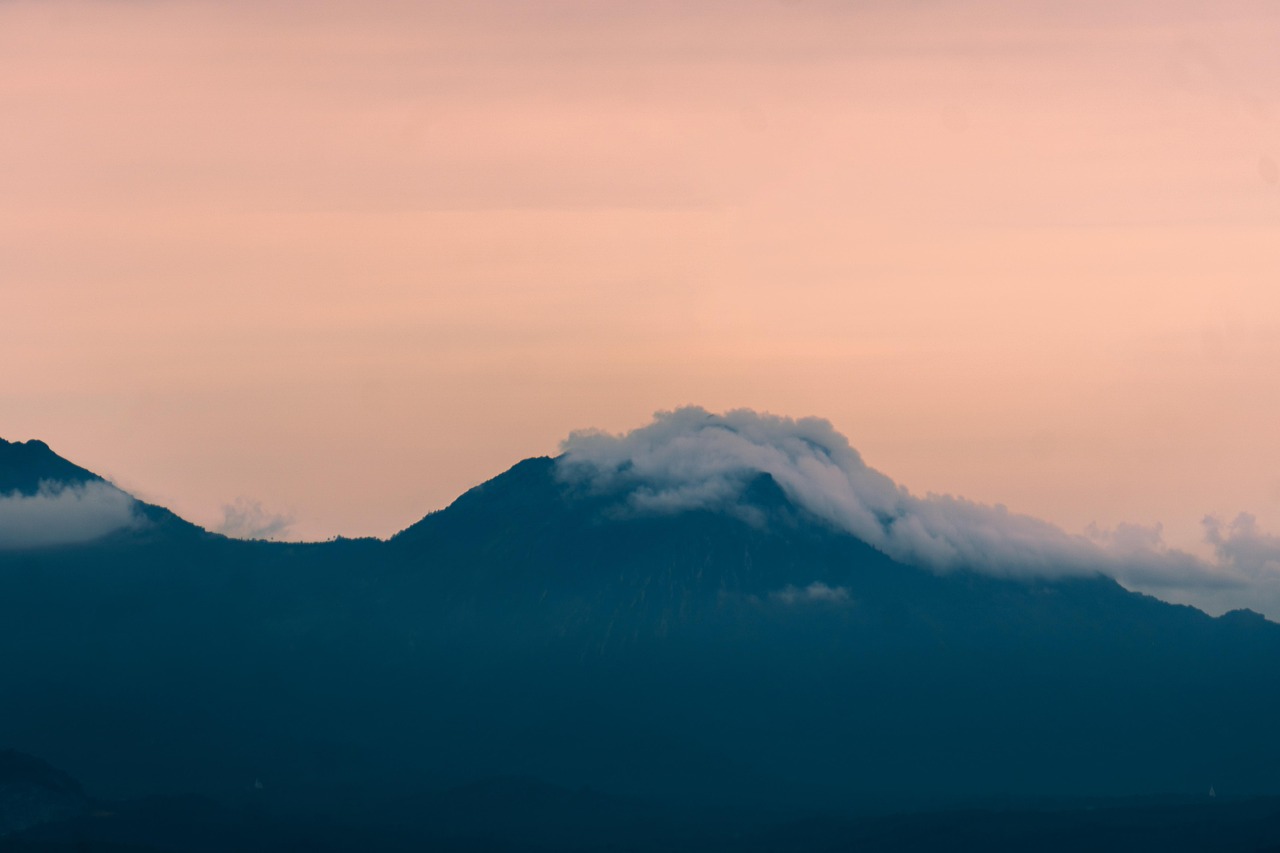 是否存在一种技术，可以用来预测技术支持入侵？