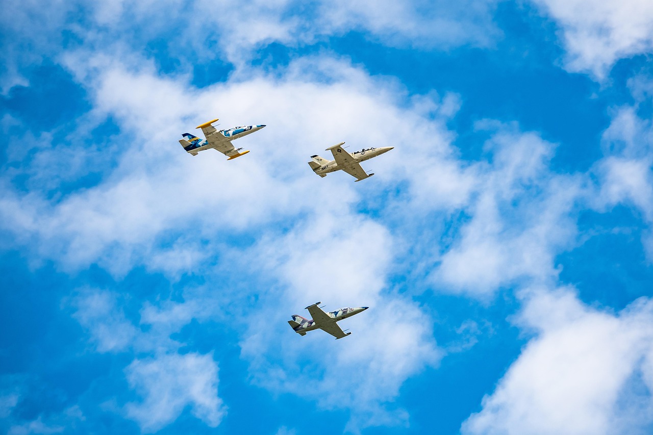 DDOS在线压力测试|仓鼠购买的平台