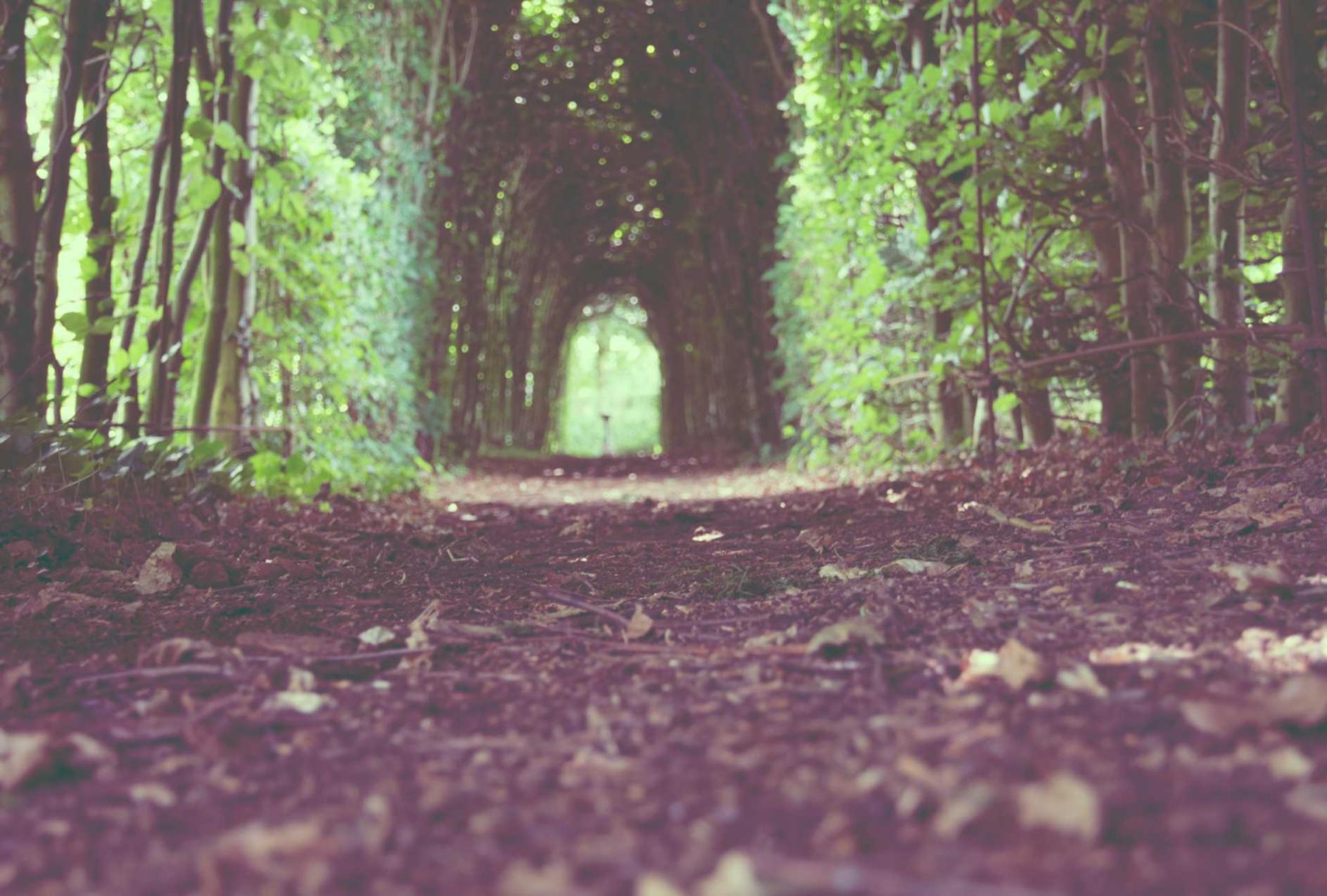 趣约会实名账号：弘扬媒体APP详情下载教程