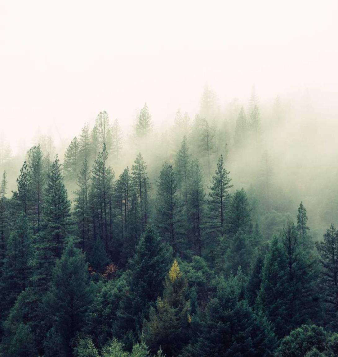 DDOS压力测试|风云传奇游戏详情下载教程app